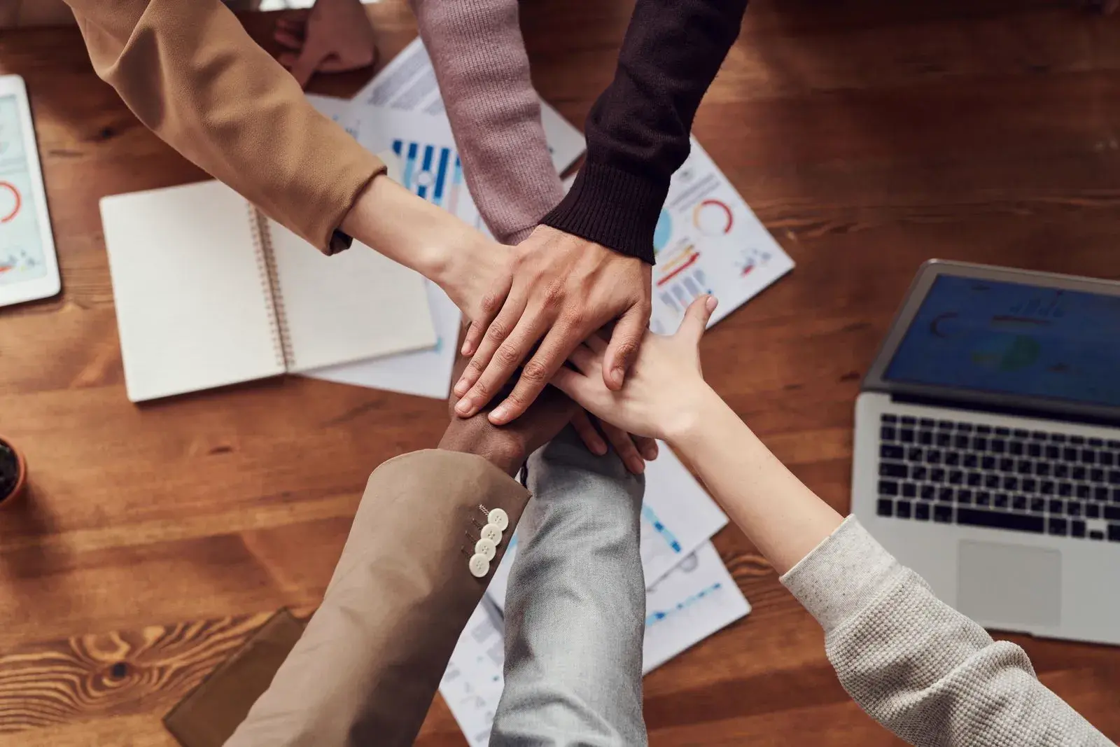 Gallup Strengths im Führungsteam: Rollen klären, Konflikte lösen, Entscheidungen beschleunigen