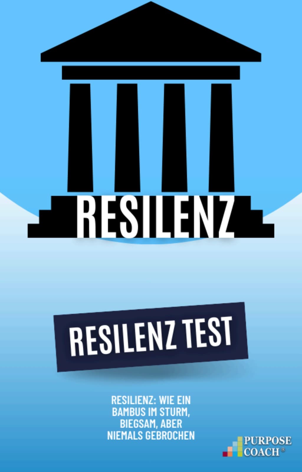 Resilienz & Resilienz-Test