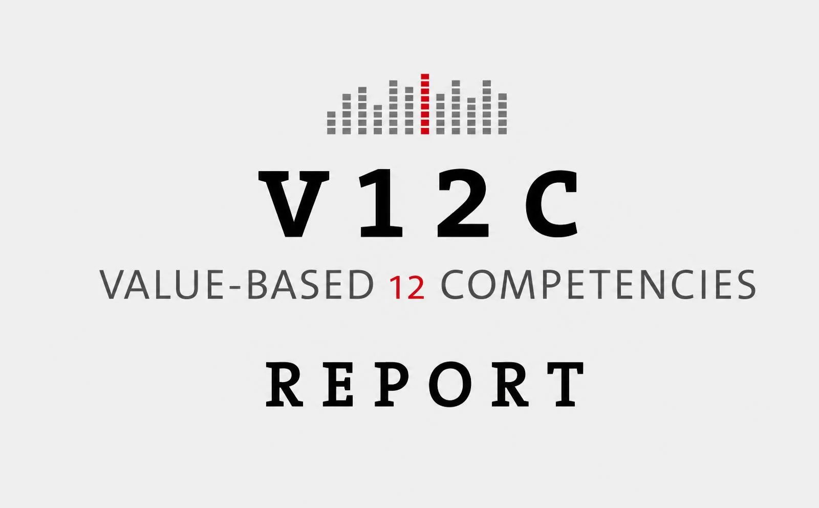 Profilingvalues® Standard Report inkl. 1 h Besprechung