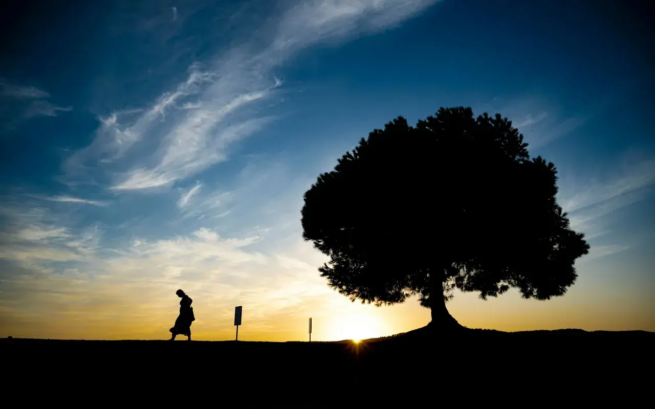Fortalecer la resiliencia en la vida cotidiana